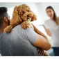 22 0718 Blog Bringing Home a Rescue Dog 1 header 1 1