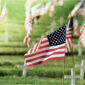 Wk 5 24 19 Memorial Day