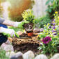 23 0626 Blog DIY 101 Summer Home Projects FTH Bers3