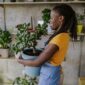 Indoor plants